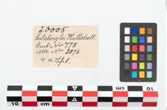 Etikett zu Muschelschale (NHMW-PRAE-026005)